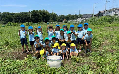よつばの一年間 6月 じゃがいも堀りの様子