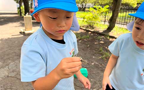 よつばの一年間 8月 自由登園の様子